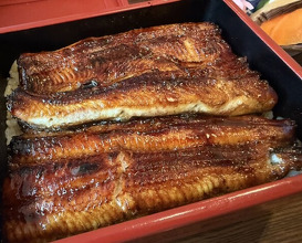 Dinner at Unagi Tei Tomoei (うなぎ亭 友栄)