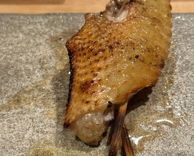 Dinner at torila (焼き鳥 とりら)
