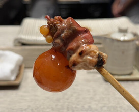 Dinner at Torisaki Jikou