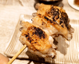Dinner at Torisaki Jikou