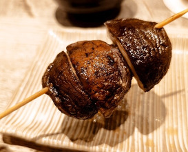 Dinner at Torisaki Jikou