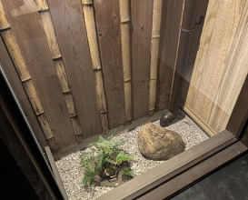 Dinner at Torisaki Jikou