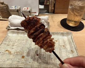 Dinner at Tori Shiki (鳥しき)