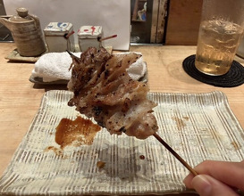 Dinner at Tori Shiki (鳥しき)
