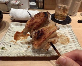 Dinner at Tori Shiki (鳥しき)