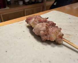 Dinner at Torisho Ishii