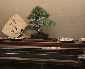 Dinner at Torisho Ishii Hina