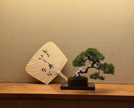 Dinner at Torisho Ishii Hina