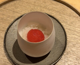Dinner at Torisho Ishii Hina