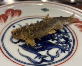 Dinner at Shunsai Ten Tsuchiya (旬彩天 つちや)