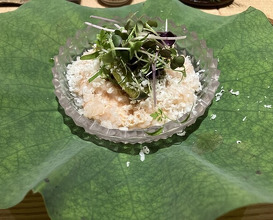Dinner at Shorenin Monzeki Mae Tsukioka (青蓮院門跡前 月おか)