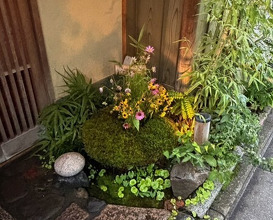 Dinner at Shorenin Monzeki Mae Tsukioka (青蓮院門跡前 月おか)