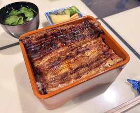 Dinner at Unagi Uomasa (うなぎ 魚政)
