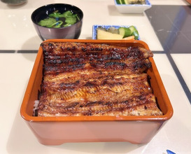 Dinner at Unagi Uomasa (うなぎ 魚政)