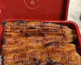 Dinner at Unagi Uomasa (うなぎ 魚政)