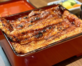 Dinner at Unagi Uomasa (うなぎ 魚政)