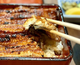 Dinner at Unagi Uomasa (うなぎ 魚政)