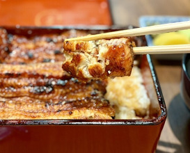 Dinner at Unagi Uomasa (うなぎ 魚政)
