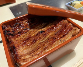 Dinner at Unagi Uomasa (うなぎ 魚政)