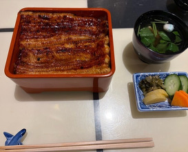 Dinner at Unagi Uomasa (うなぎ 魚政)