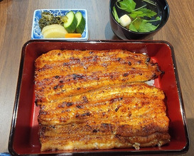 Dinner at Unagi Uomasa (うなぎ 魚政)