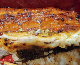 Dinner at Unagi Uomasa (うなぎ 魚政)