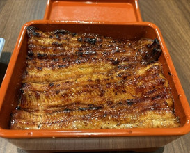 Dinner at Unagi Uomasa (うなぎ 魚政)