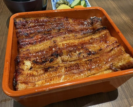 Dinner at Unagi Uomasa (うなぎ 魚政)
