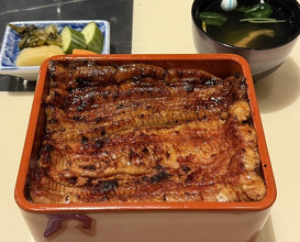 Dinner at Unagi Uomasa (うなぎ 魚政)