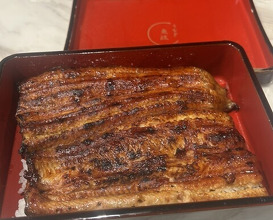 Dinner at Unagi Uomasa (うなぎ 魚政)
