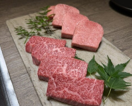 Dinner at USHIGORO S. GINZA (USHIGORO S. GINZA)