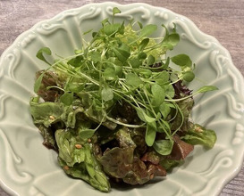 Dinner at USHIGORO S. GINZA (USHIGORO S. GINZA)