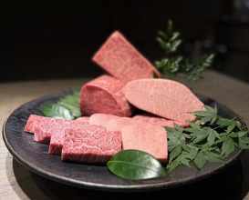 Dinner at USHIGORO S. GINZA (USHIGORO S. GINZA)