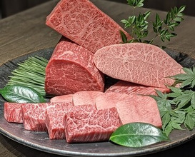 Dinner at USHIGORO S. GINZA (USHIGORO S. GINZA)
