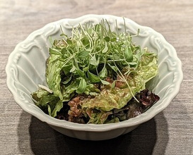 Dinner at USHIGORO S. GINZA (USHIGORO S. GINZA)