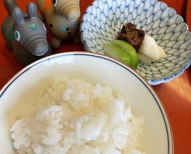 Dinner at Wada Kin (和田金)