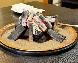 Dinner at Wada Kin (和田金)