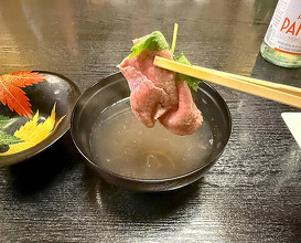 Dinner at Wada Kin (和田金)