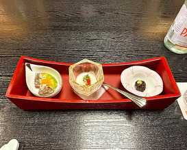 Dinner at Wada Kin (和田金)