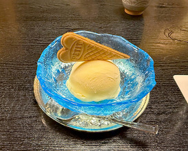 Dinner at Wada Kin (和田金)