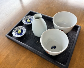 Dinner at Ishiusuhiki Soba Kobo Yama no Mi (石臼挽き蕎麦香房 山の実)
