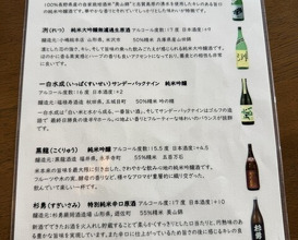 Dinner at Ishiusuhiki Soba Kobo Yama no Mi (石臼挽き蕎麦香房 山の実)