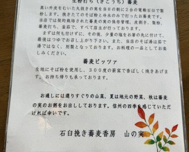 Dinner at Ishiusuhiki Soba Kobo Yama no Mi (石臼挽き蕎麦香房 山の実)