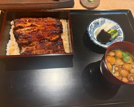 Dinner at Yamasei (山勢)