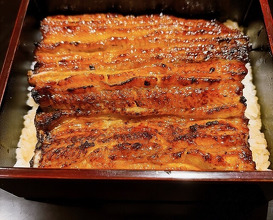 Dinner at Yamasei (山勢)