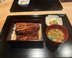 Dinner at Yamasei (山勢)