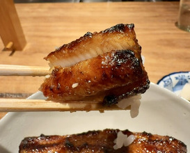 Dinner at Yamasei (山勢)