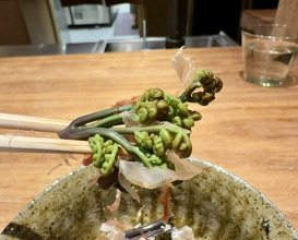 Dinner at Yamasei (山勢)