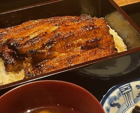 Dinner at Yamasei (山勢)