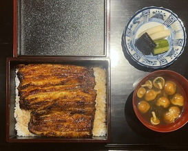 Dinner at Yamasei (山勢)